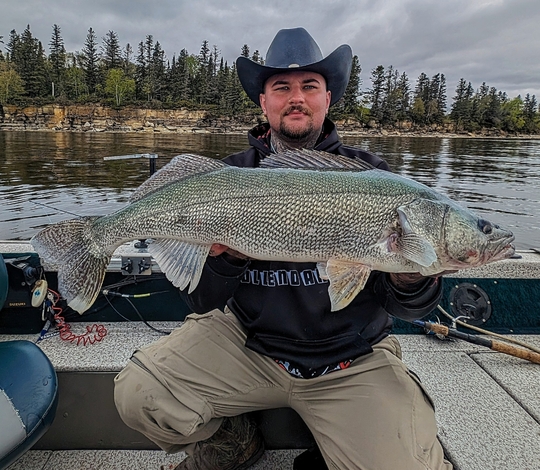 Walleye