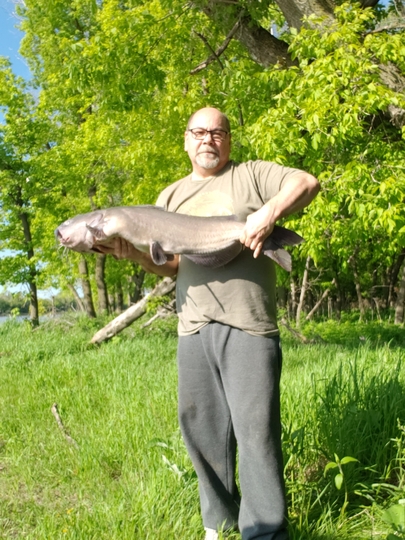 Channel Catfish