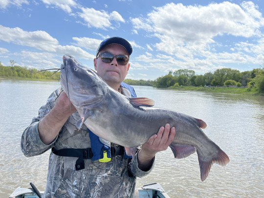 Channel Catfish