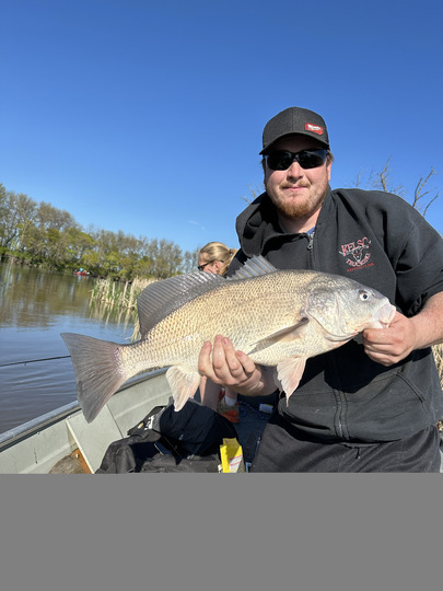 Freshwater Drum
