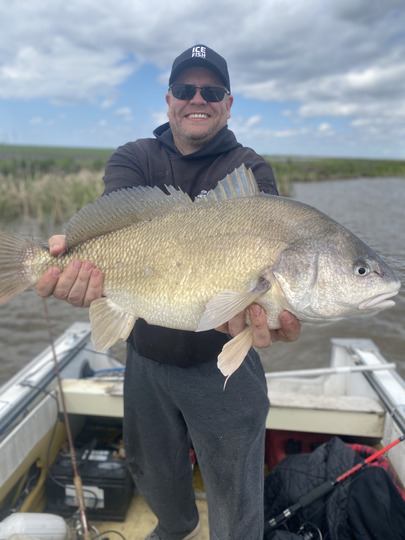 Freshwater Drum