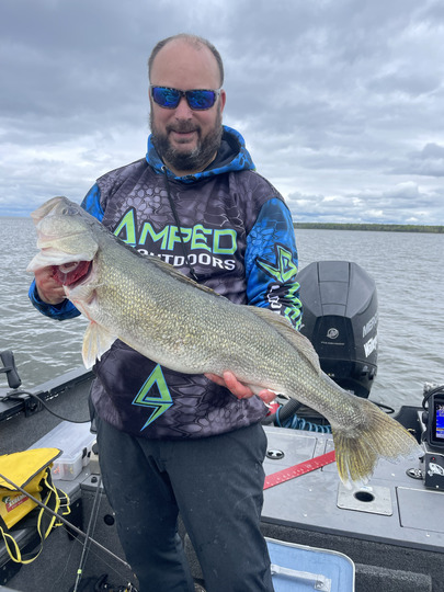 Walleye