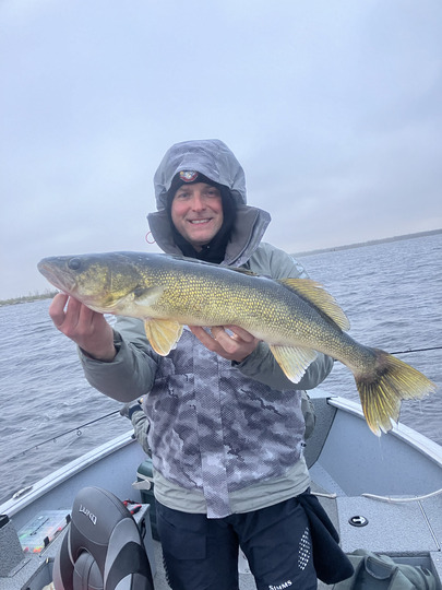 Walleye