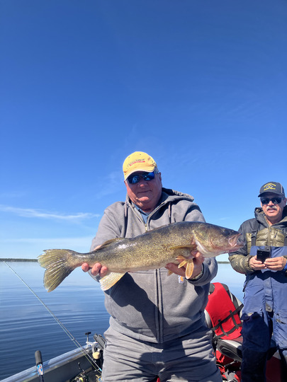 Walleye