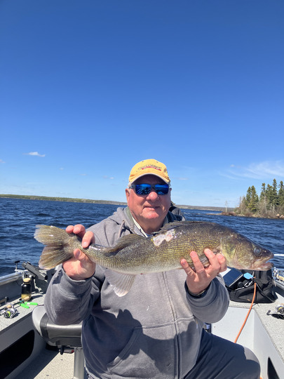 Walleye