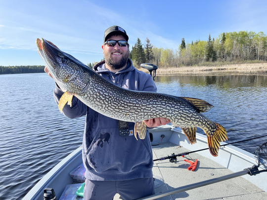 Northern Pike