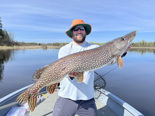 Northern Pike