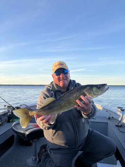 Walleye