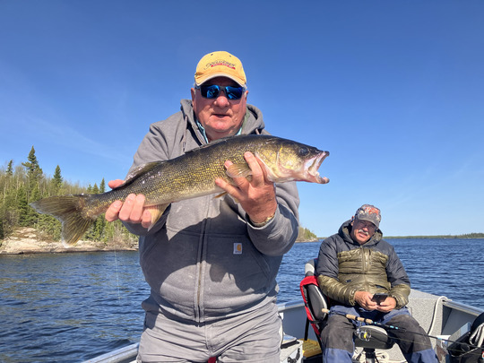 Walleye