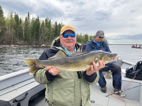 Walleye