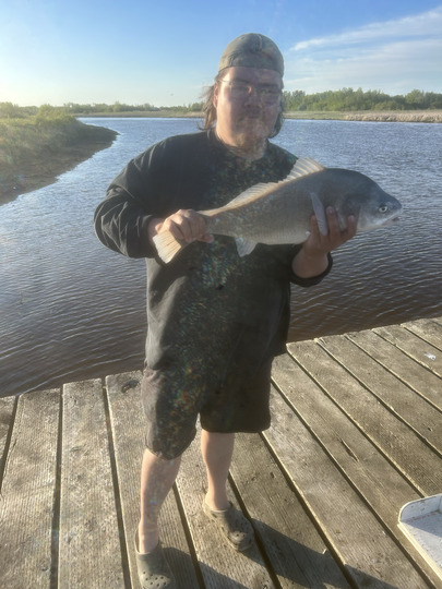 Freshwater Drum