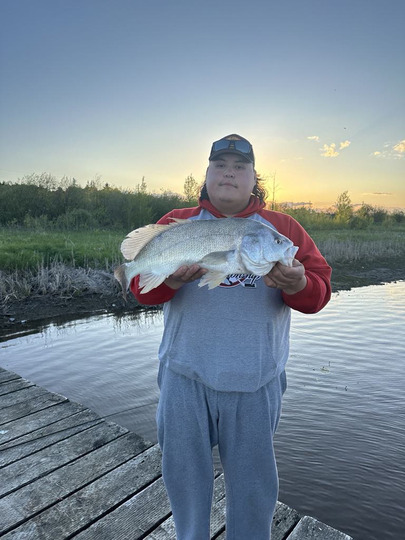 Freshwater Drum