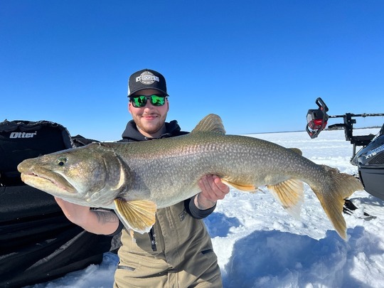 Lake Trout