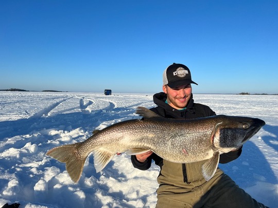 Lake Trout
