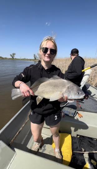 Freshwater Drum