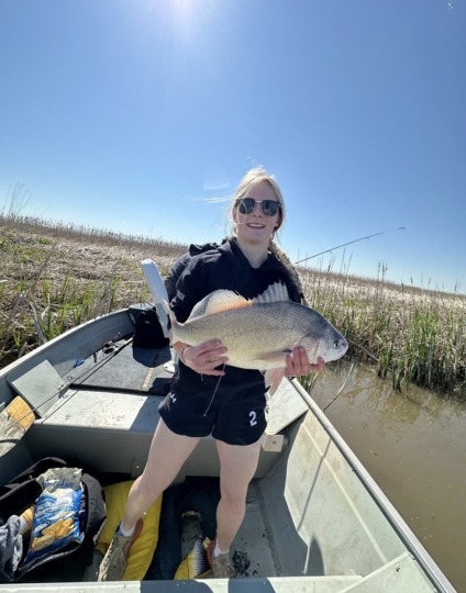 Freshwater Drum