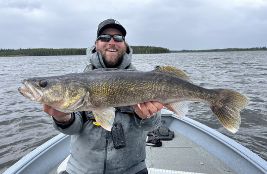 Walleye