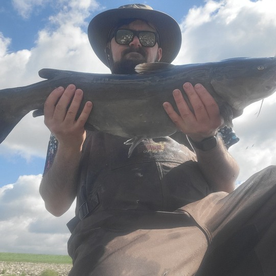 Channel Catfish