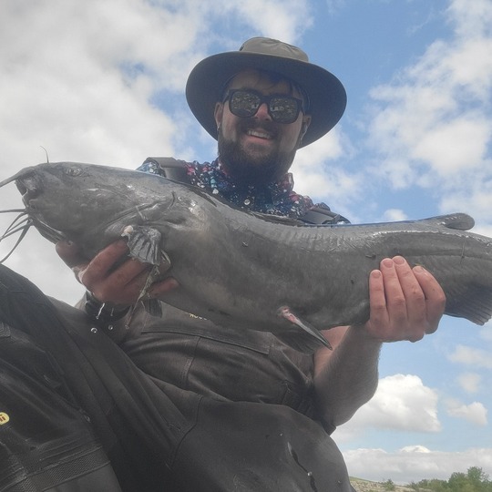 Channel Catfish