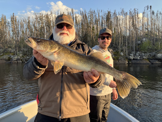 Walleye