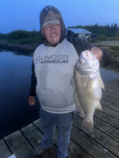 Freshwater Drum