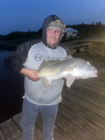 Freshwater Drum