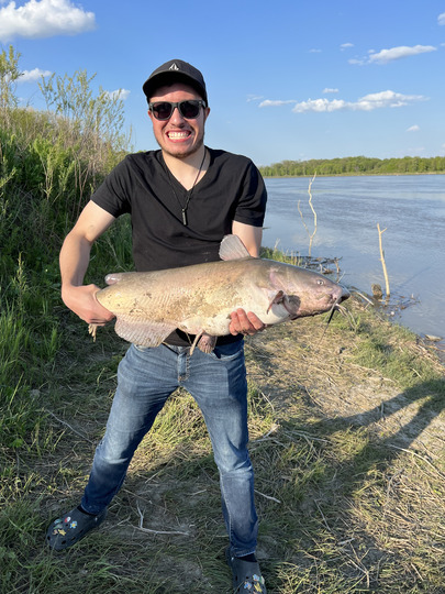 Channel Catfish