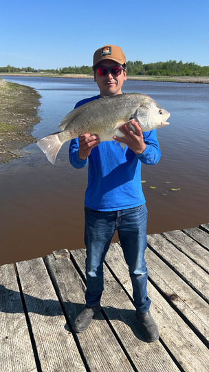 Freshwater Drum