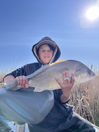 Freshwater Drum