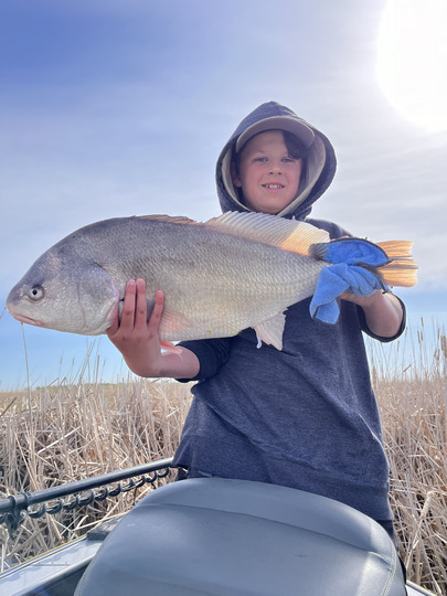 Freshwater Drum