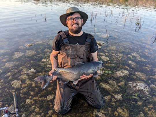 Channel Catfish