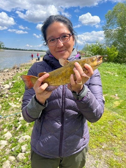 Bullhead