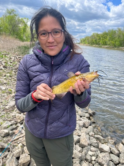 Bullhead