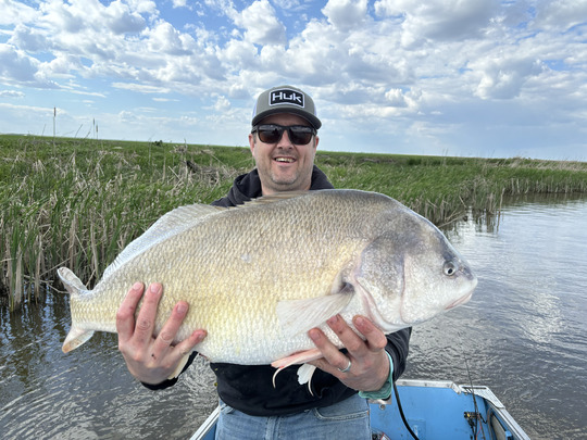 Freshwater Drum