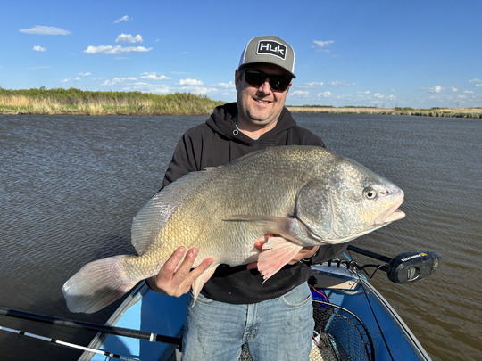 Freshwater Drum