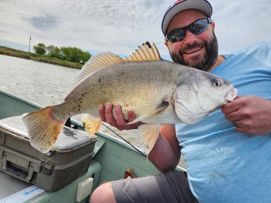 Freshwater Drum