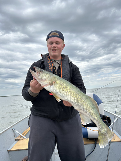 Walleye