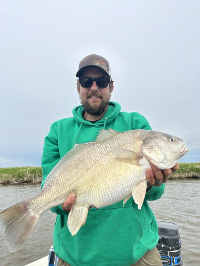 Freshwater Drum