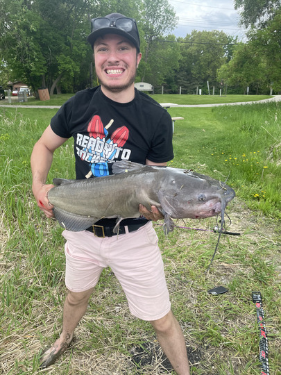 Channel Catfish