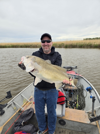 Freshwater Drum