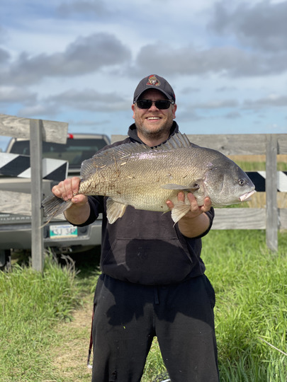 Freshwater Drum