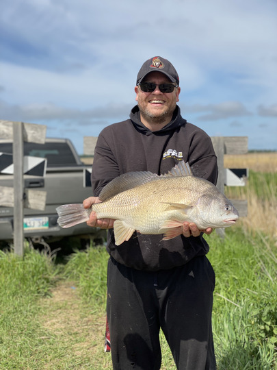 Freshwater Drum