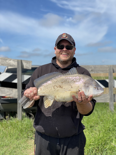 Freshwater Drum