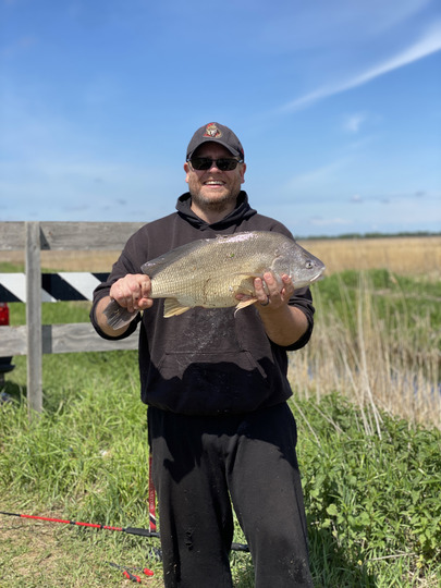 Freshwater Drum