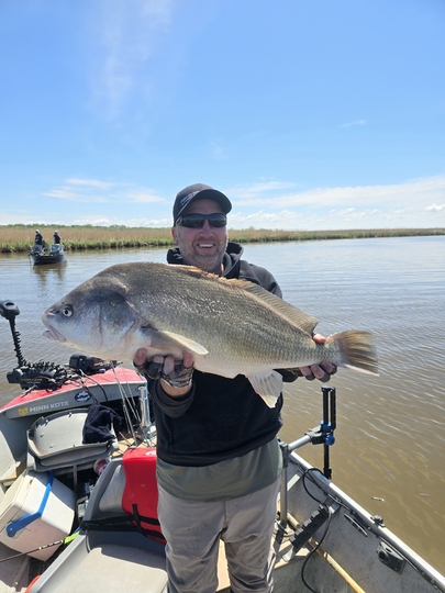 Freshwater Drum