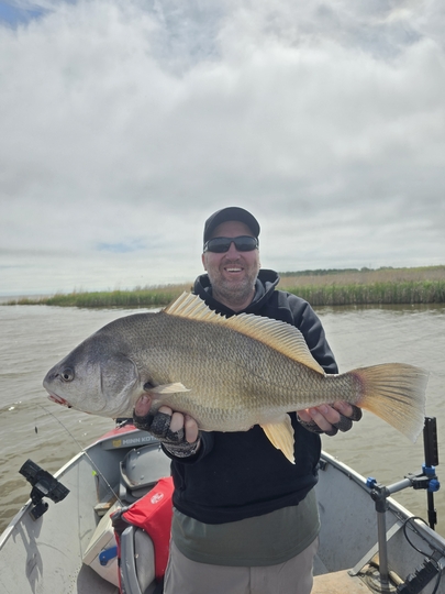 Freshwater Drum