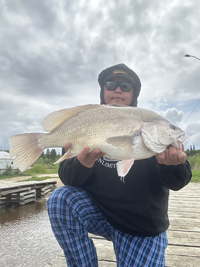 Freshwater Drum