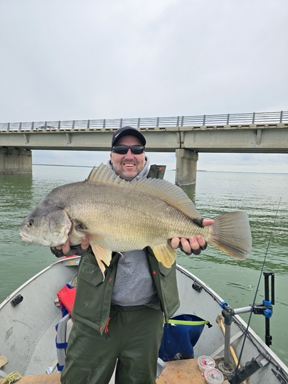 Freshwater Drum