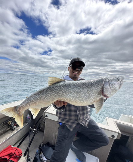 Lake Trout