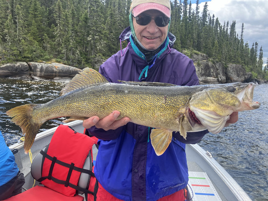Walleye